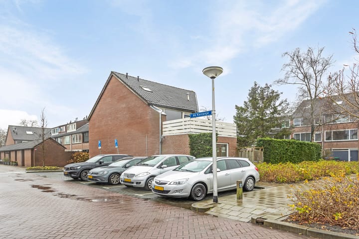 Foto 2 van De Kastanje 34