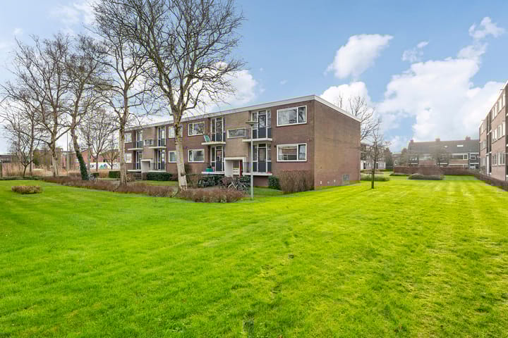 Foto 40 van Helperzoom 289