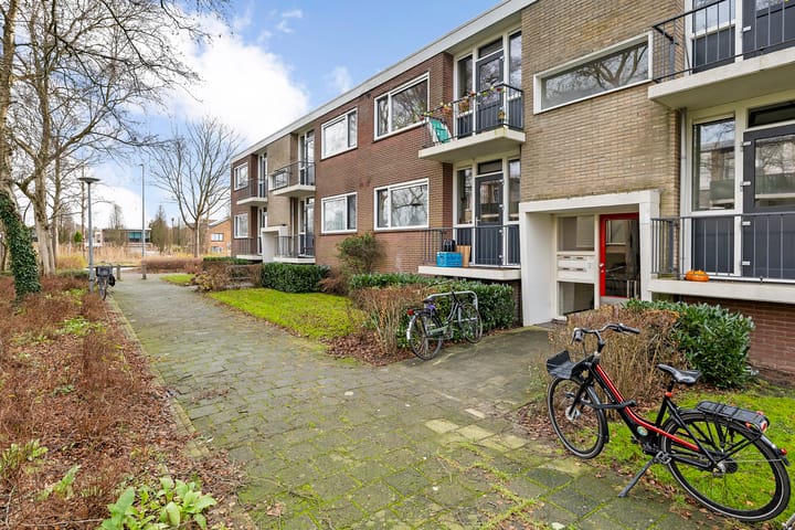 Foto 6 van Helperzoom 289