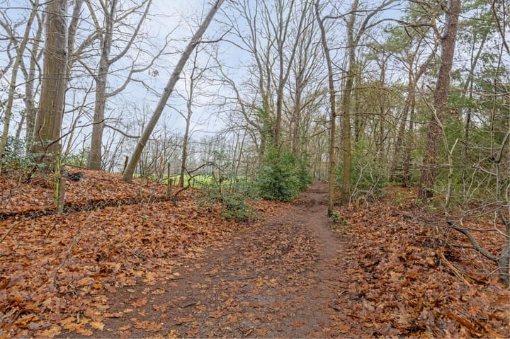 Foto 37 van Ericalaan 23