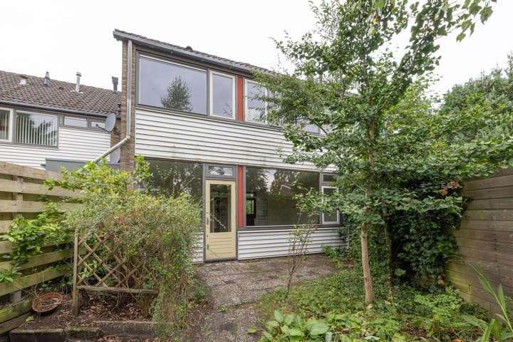 Foto 10 van Jac. P. Thijssepark 127