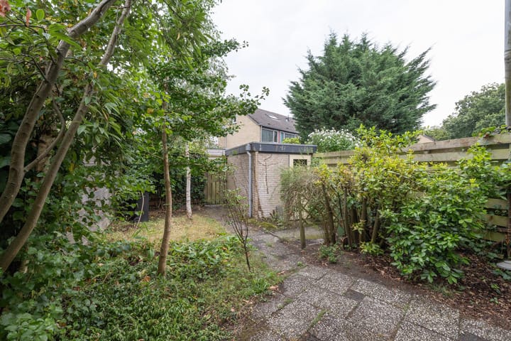 Foto 19 van Jac. P. Thijssepark 127