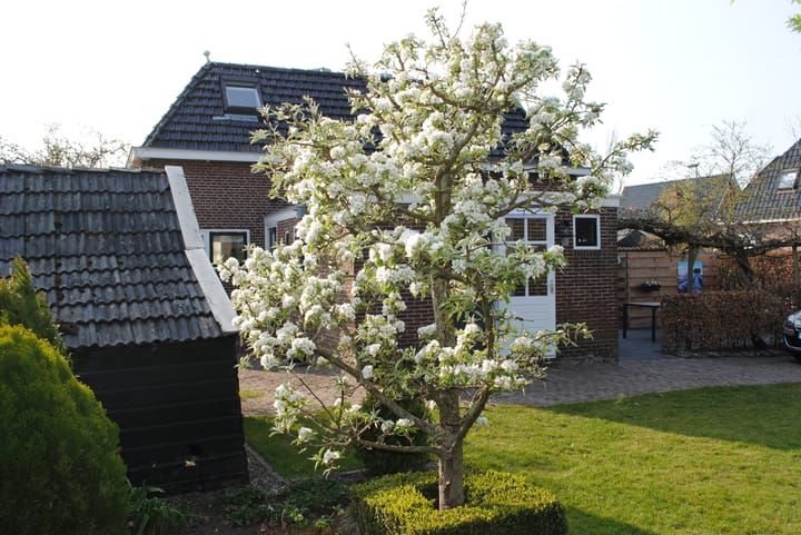 Foto 14 van Trynwâldsterdyk 10