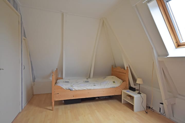 Foto 49 van Trynwâldsterdyk 10