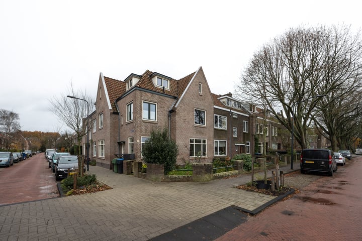 Bekijk foto 27 van Merelstraat 52