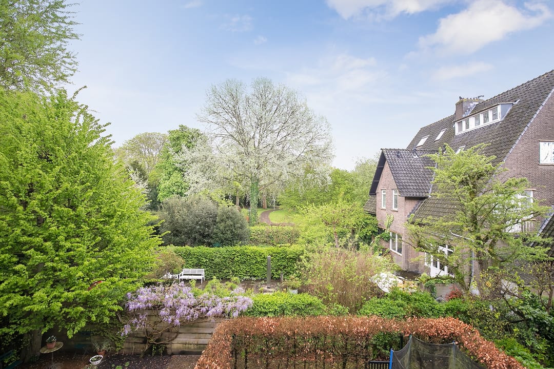 Foto 41 van Mecklenburglaan 10