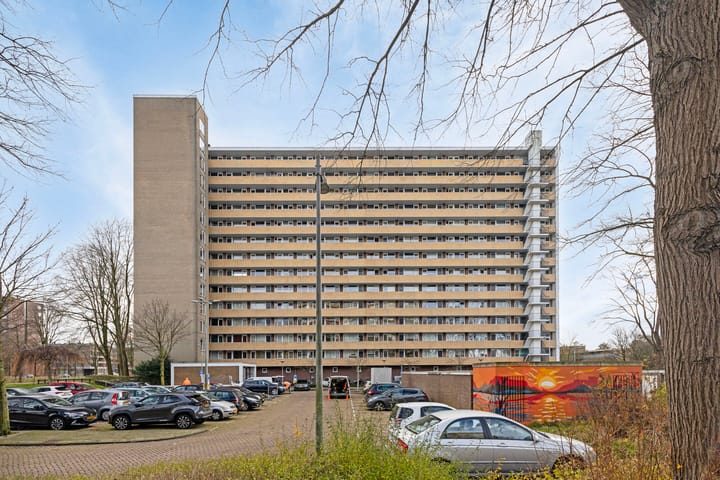 Foto 27 van Langswater 365