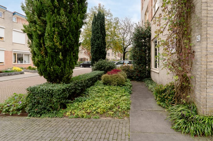 Foto 9 van Van Breugelplantsoen 42