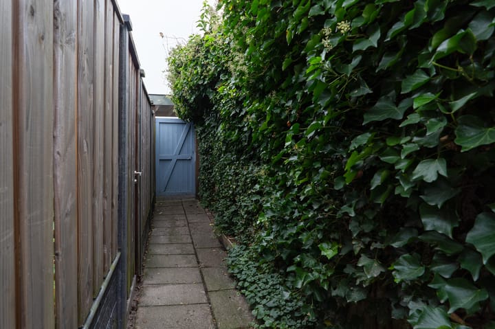 Foto 56 van Van Breugelplantsoen 42