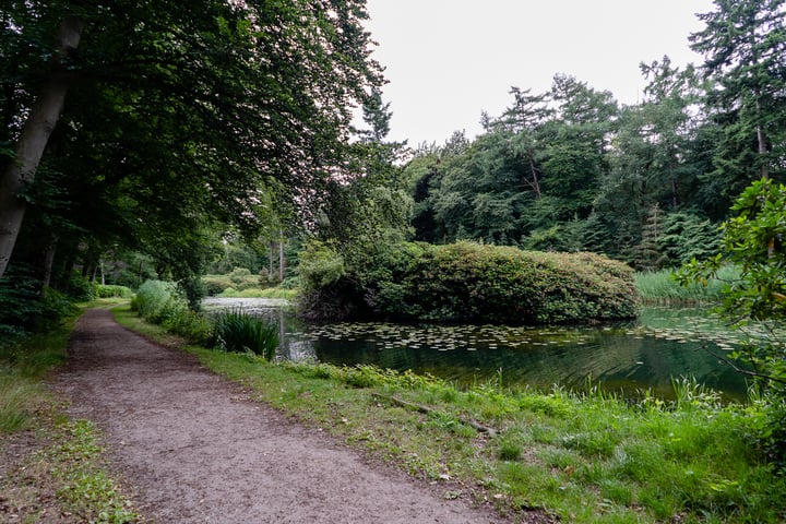 View photo 59 of Van Breugelplantsoen 42