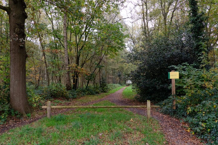 Foto 58 van Van Breugelplantsoen 42