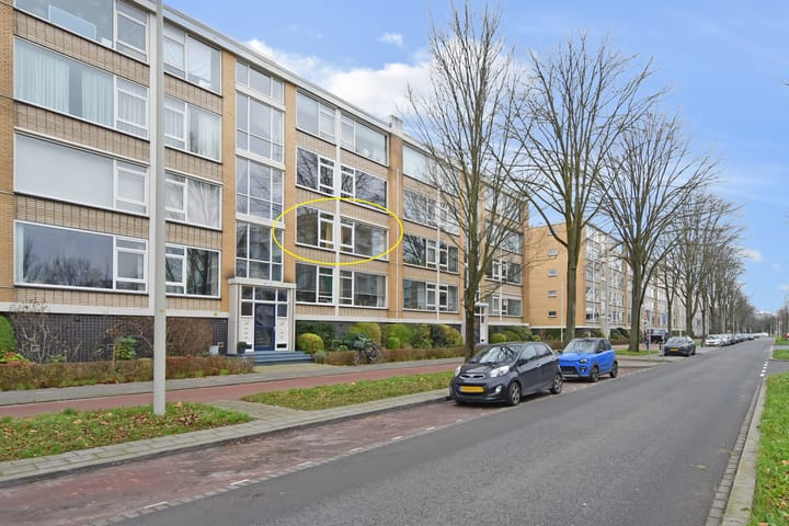 Foto 1 van Groen van Prinstererlaan 201