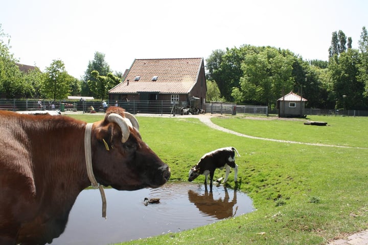 View photo 31 of Groen van Prinstererlaan 201