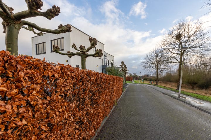 Foto 10 van Muntberg 22