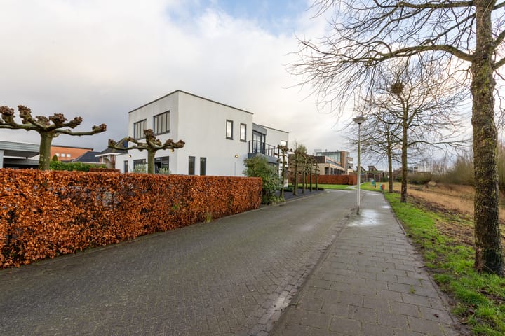 Foto 9 van Muntberg 22