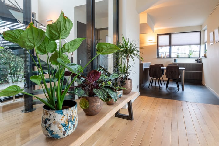 Foto 34 van Muntberg 22