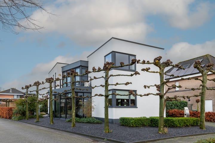 Foto 3 van Muntberg 22