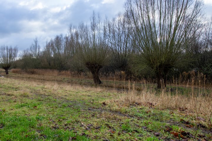 Foto 87 van Muntberg 22