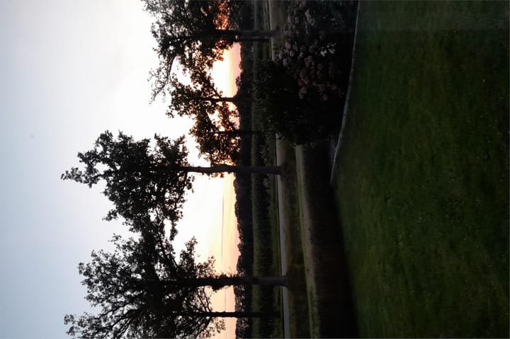 Foto 44 van Singel 11