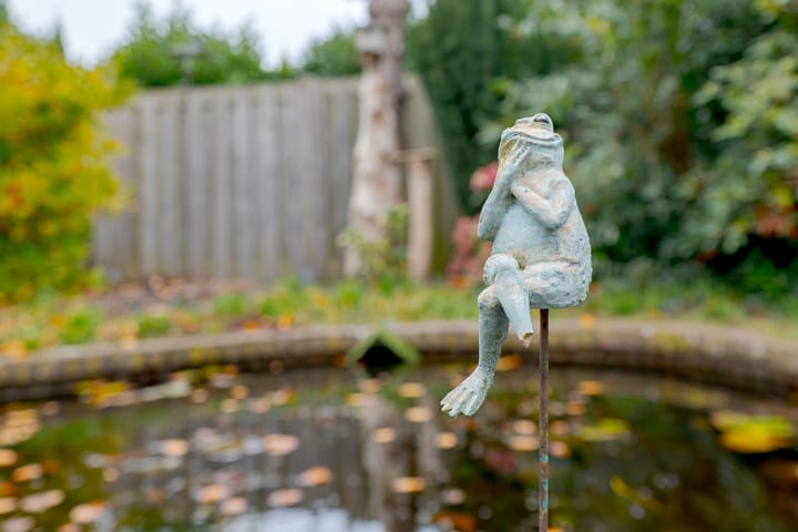 Photo 29 of Eems 29-A