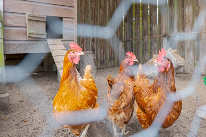 Photo 64 of Eems 29-A