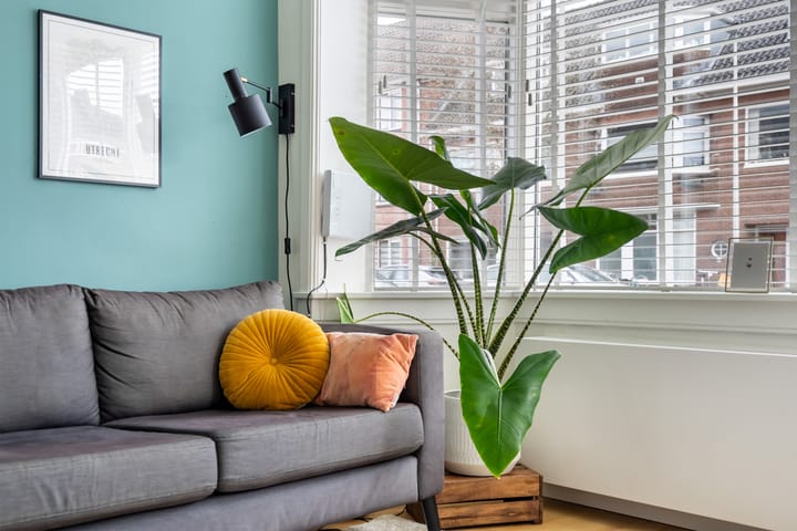 Foto 6 van Hasebroekstraat 58