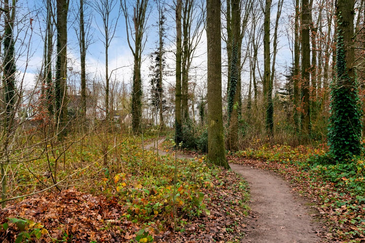 Bekijk foto 43 van Bereklauw 27