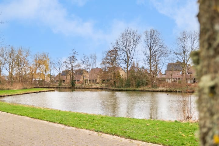 Photo 40 of Henri Dunantsingel 102