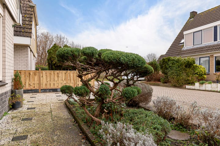 Foto 5 van Schoener 45 4