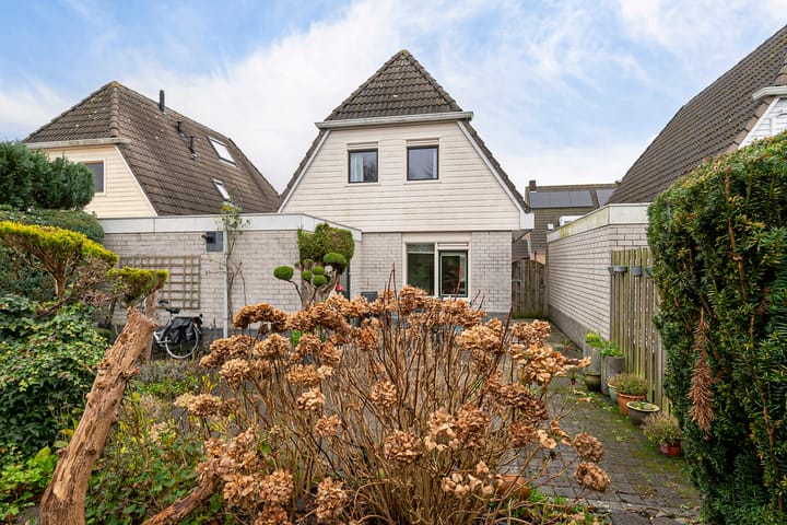 Foto 32 van Schoener 45 4