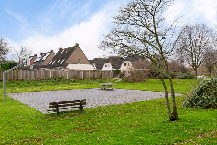 Foto 39 van Schoener 45 4