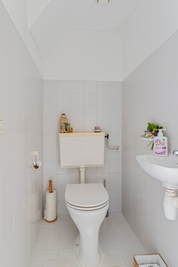 Foto 40 van Schoener 45 4