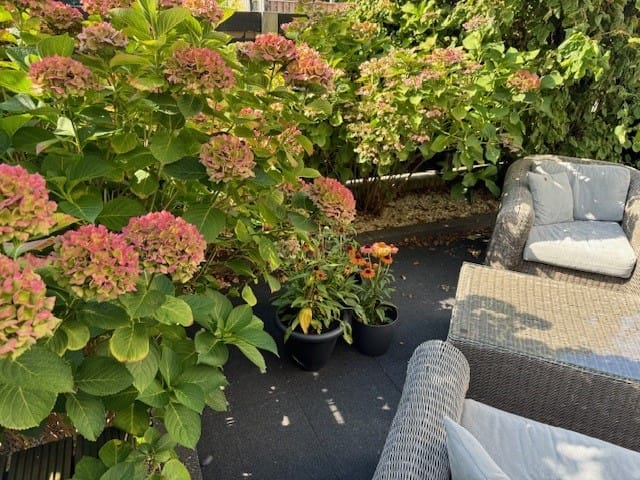 Foto 59 van Gruttersdreef 413