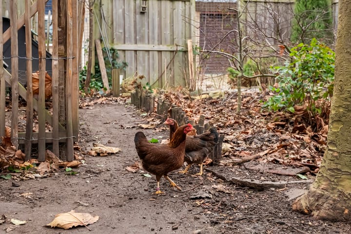 Foto 3 van Ridder Alartlaan 40