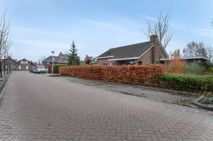 Foto 53 van Grote Tiende 1