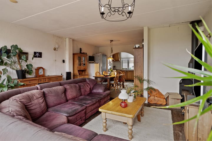 Foto 10 van Lupine 1