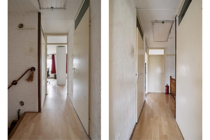 Foto 15 van Lupine 1