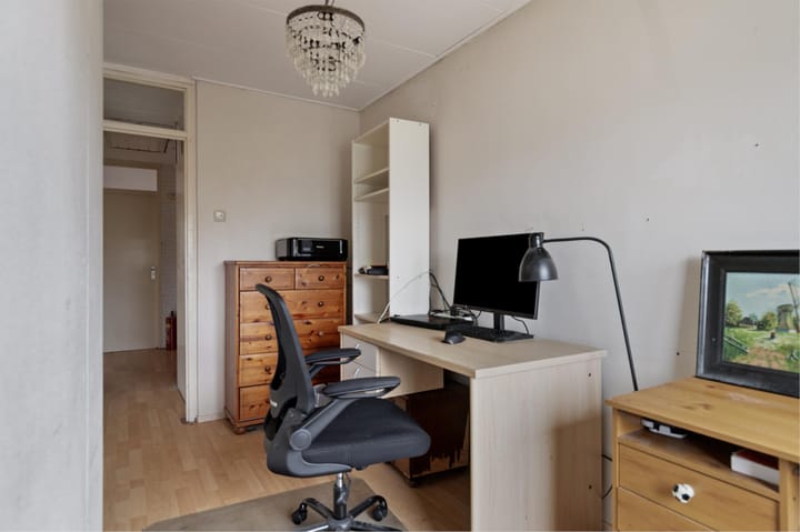 Foto 17 van Lupine 1