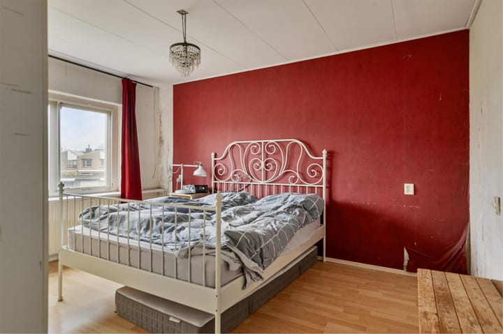 Foto 18 van Lupine 1