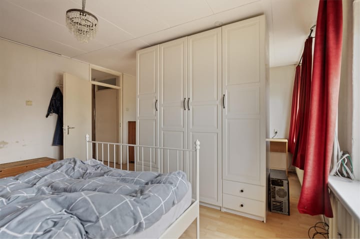 Foto 19 van Lupine 1