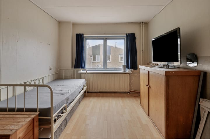 Foto 23 van Lupine 1