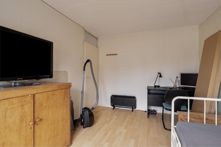 Foto 24 van Lupine 1