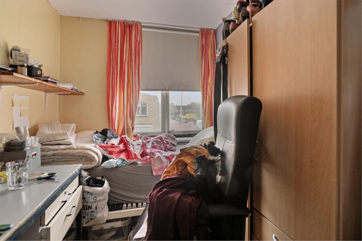 Foto 25 van Lupine 1