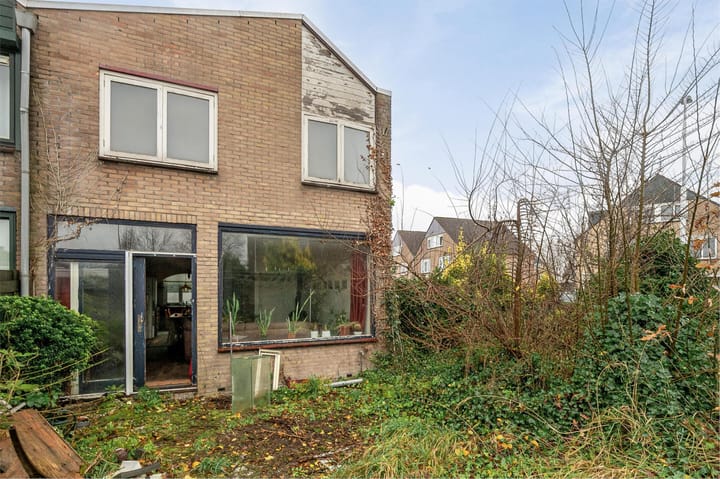 Foto 26 van Lupine 1