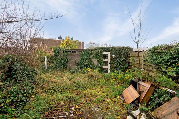 Foto 27 van Lupine 1