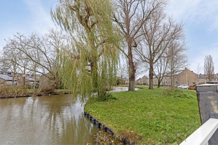 Foto 30 van Lupine 1