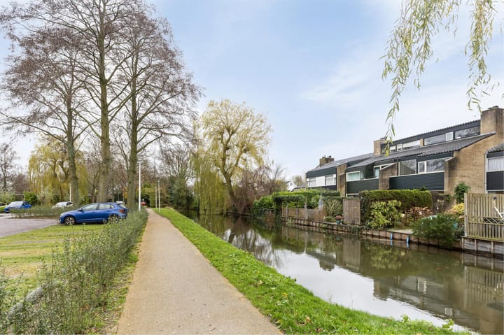 Foto 31 van Lupine 1