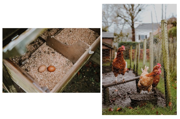 Foto 45 van Krooiweg 29