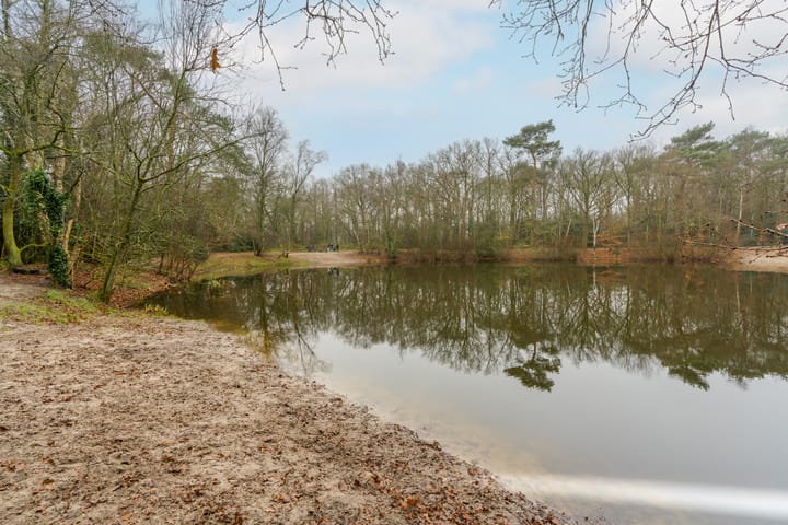 Foto 48 van Gerard Terborchlaan 10