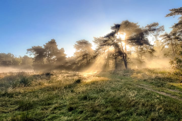 Foto 49 van Gerard Terborchlaan 10
